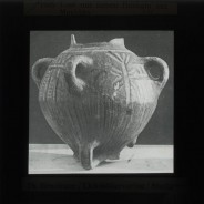 Böhl glass slide 61.2/1682